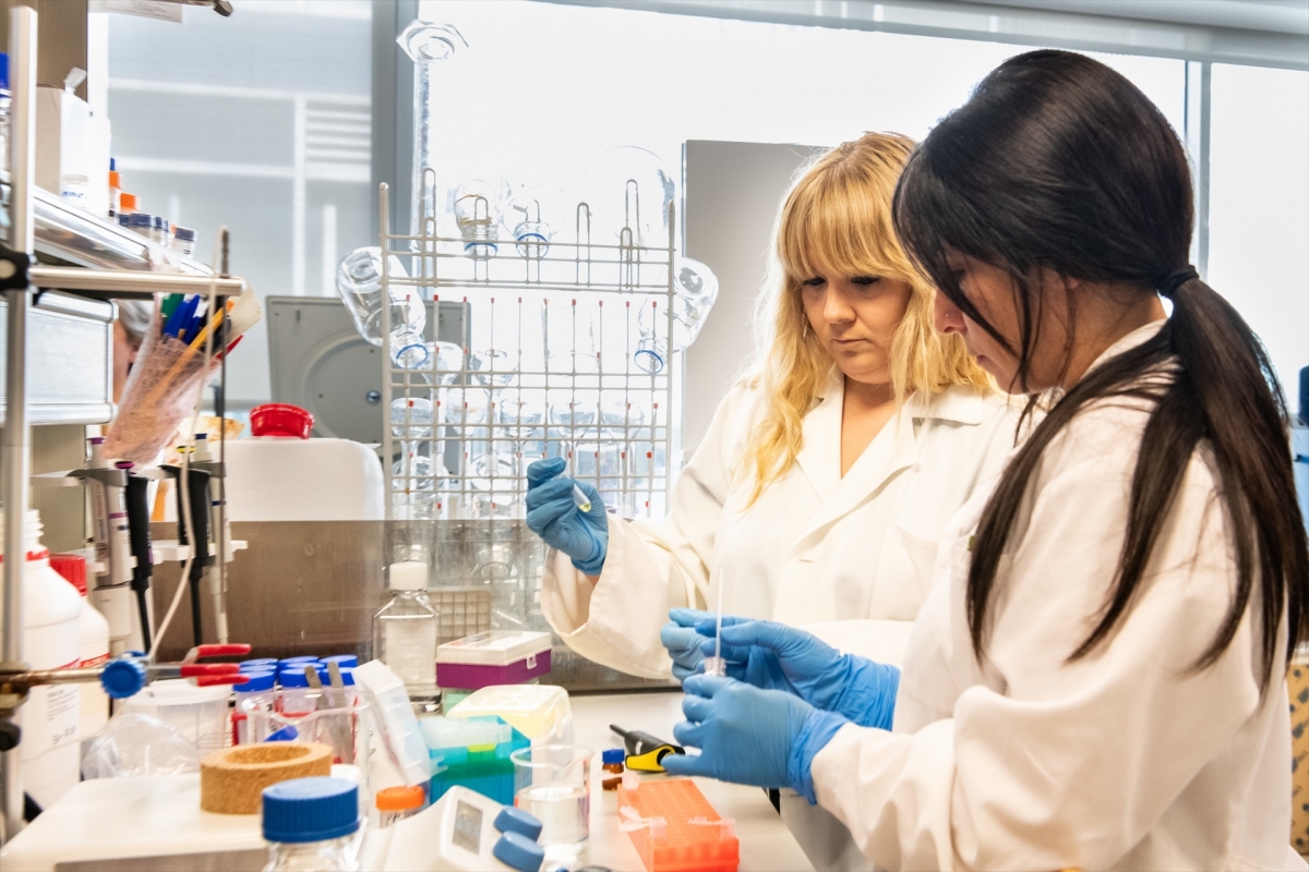 Investigadores descubren en bacterias nuevos mecanismos de defensa a terapias alternativas a antibióticos