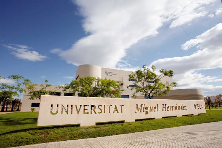 La UMH organiza una feria de negocio para empresas que buscan crecer por internacionalización