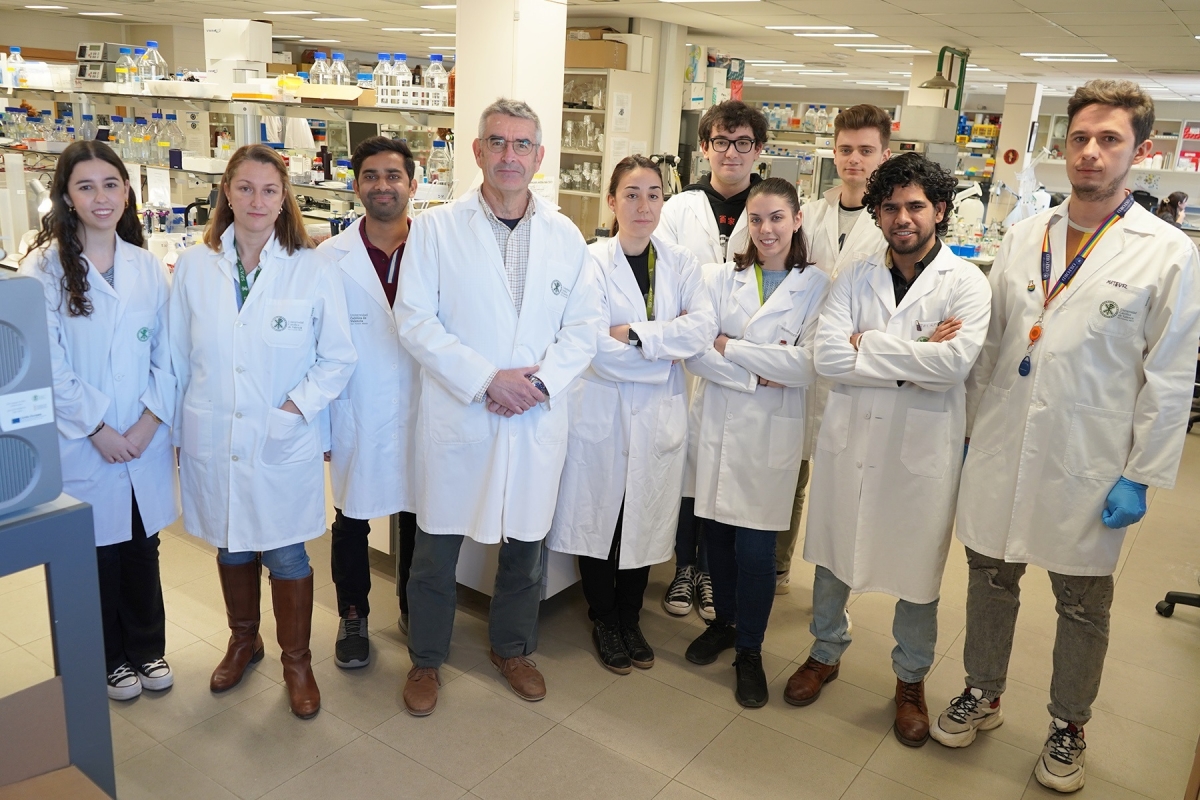 Investigadores valencianos descubren moléculas que bloquean una interacción del parásito causante de la malaria