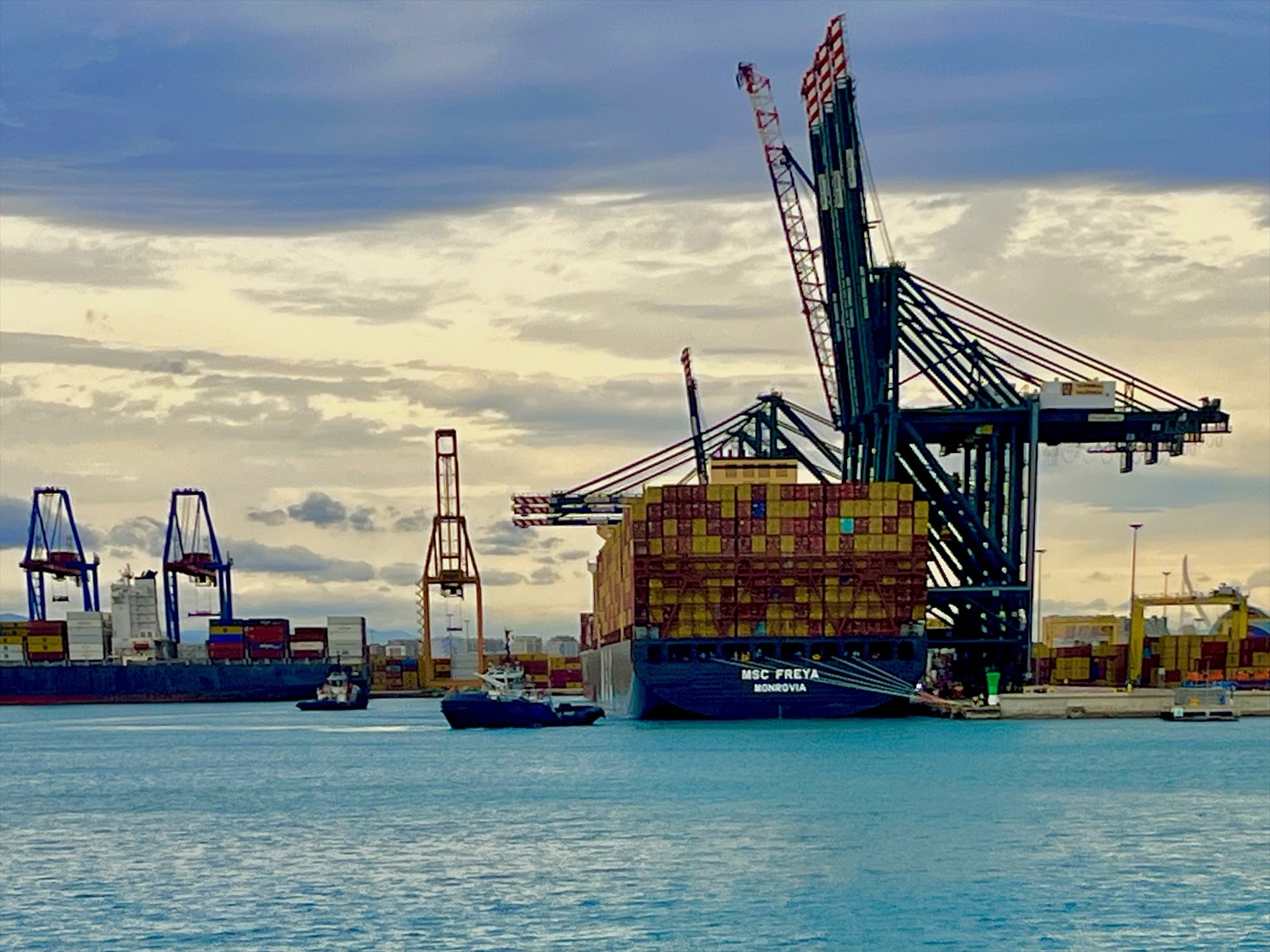 Valenciaport cierra 2023 con un descenso de tráficos del 2,81%
